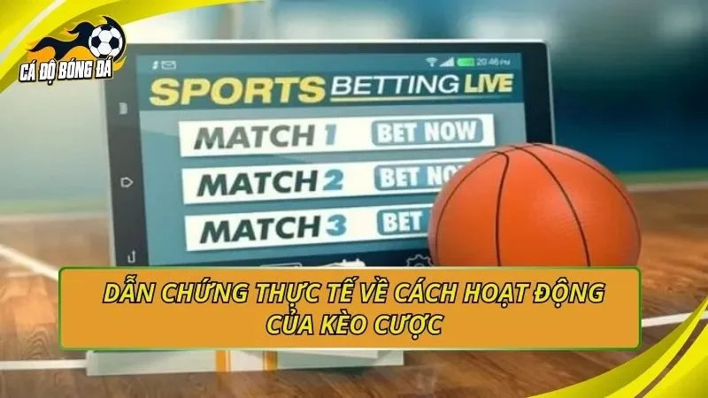 Dẫn chứng thực tế về cách hoạt động của kèo cược